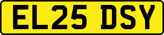 EL25DSY
