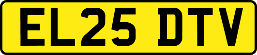 EL25DTV