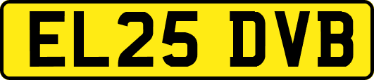 EL25DVB