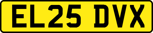 EL25DVX