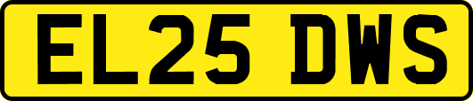 EL25DWS