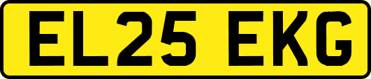 EL25EKG