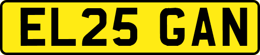 EL25GAN