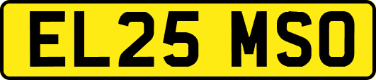 EL25MSO