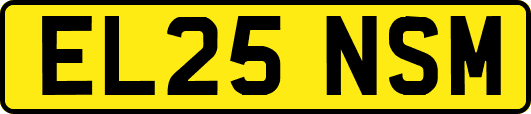 EL25NSM