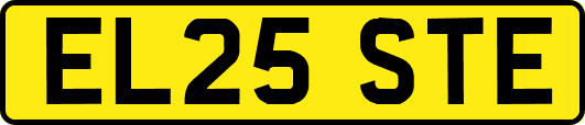 EL25STE