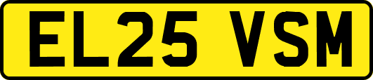 EL25VSM