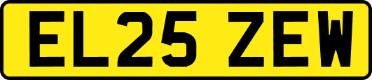 EL25ZEW