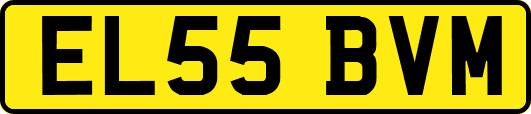 EL55BVM
