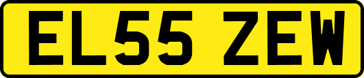 EL55ZEW