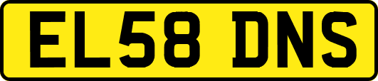 EL58DNS