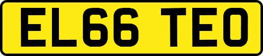 EL66TEO