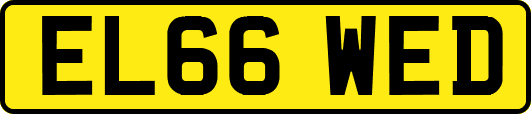 EL66WED