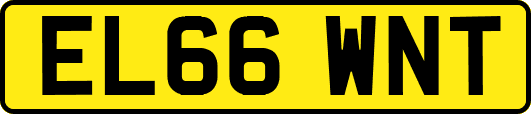 EL66WNT