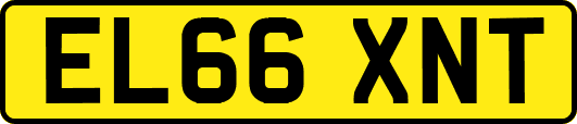 EL66XNT
