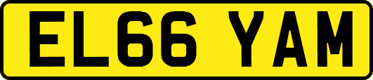 EL66YAM
