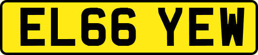 EL66YEW