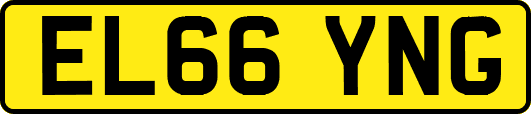 EL66YNG