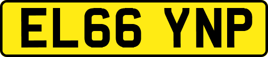 EL66YNP