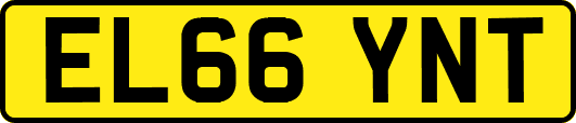 EL66YNT