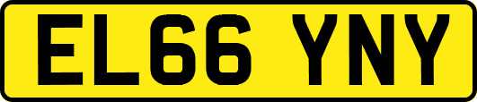 EL66YNY