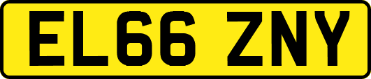 EL66ZNY
