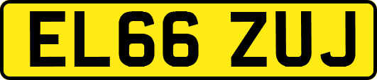 EL66ZUJ