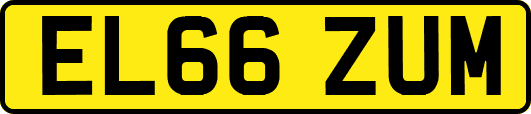 EL66ZUM