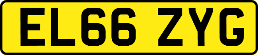 EL66ZYG