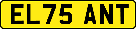 EL75ANT