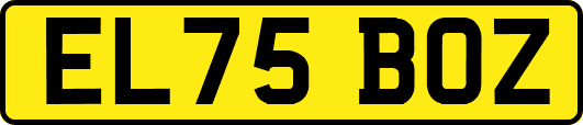 EL75BOZ