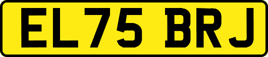 EL75BRJ