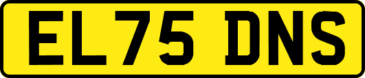 EL75DNS
