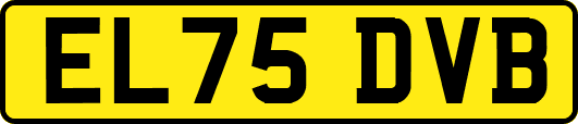 EL75DVB