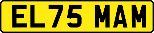 EL75MAM