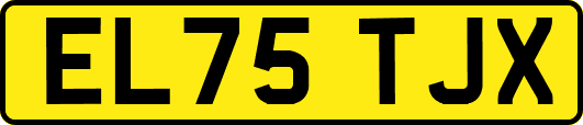 EL75TJX