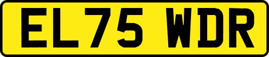 EL75WDR