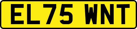 EL75WNT
