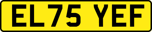 EL75YEF