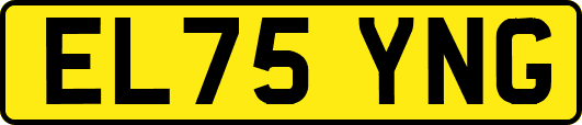EL75YNG