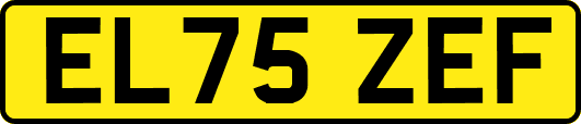 EL75ZEF