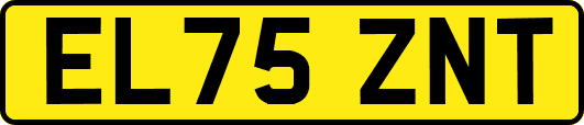 EL75ZNT