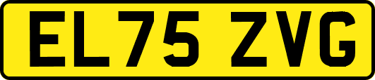 EL75ZVG