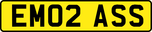 EM02ASS