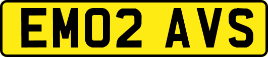 EM02AVS