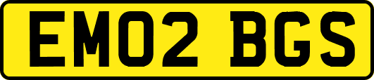 EM02BGS
