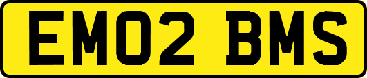 EM02BMS