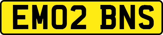 EM02BNS