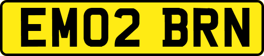 EM02BRN