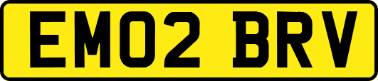 EM02BRV
